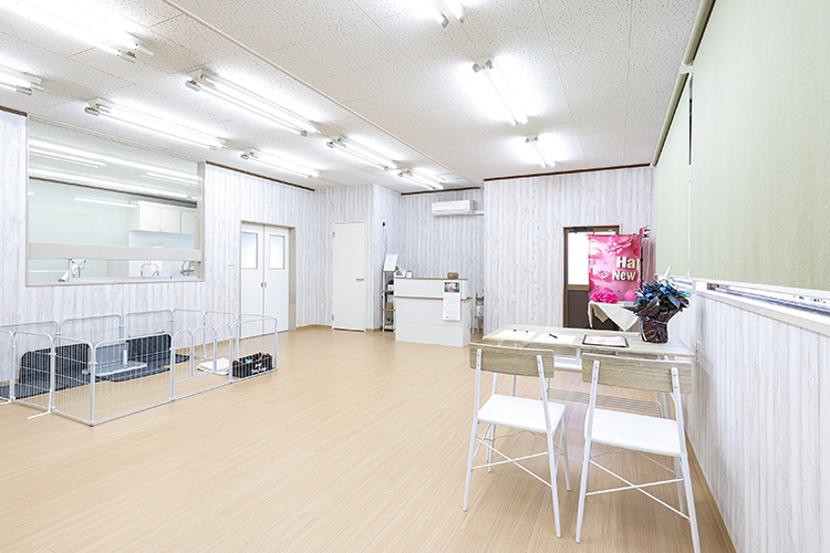 広々とした待合室でゆったりお迎え
