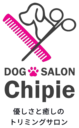 Dog Salon Chipie